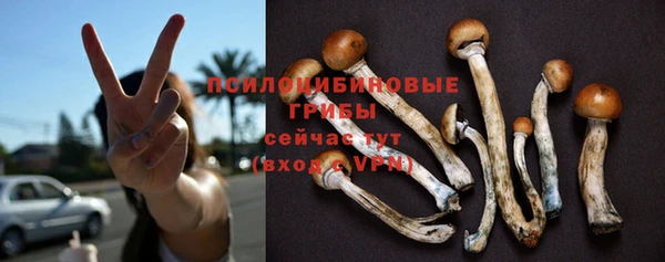 круглые Алексеевка