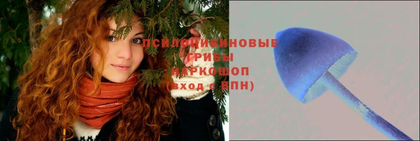круглые Алексеевка