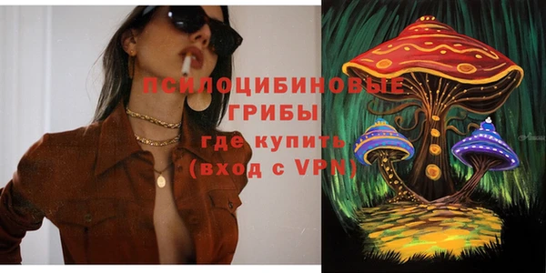дживик Няндома